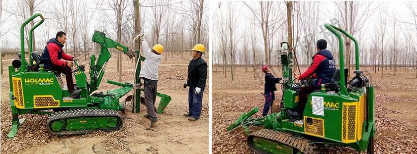 挖树机可挖多大直径的树，可以挖多大土球
